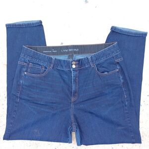 Lane Bryant Blue Denim Straight Leg Jeans 22
